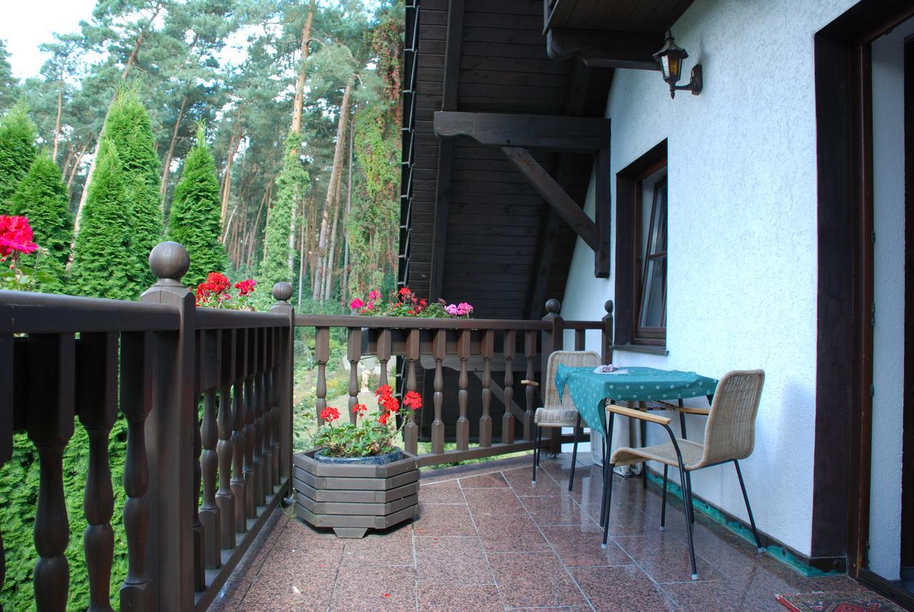 Pension Tannenspitze Wittenberg Exterior photo